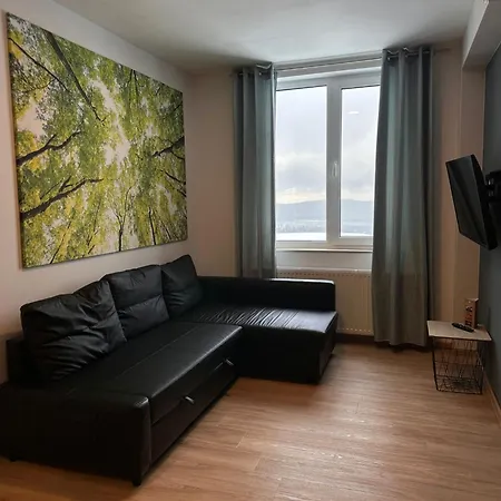 Zieleniec Apartment