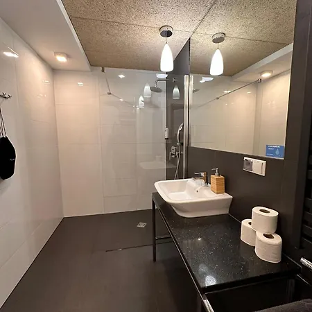 Zieleniec Apartament *