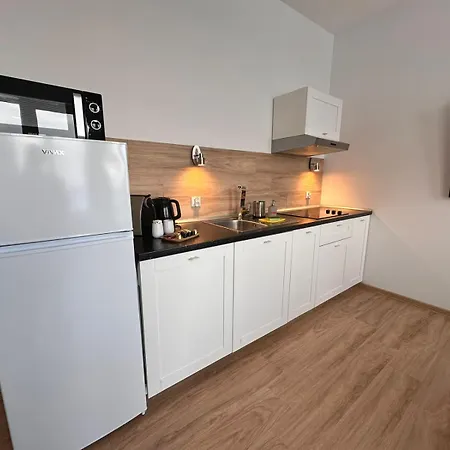 Apartament Zieleniec *