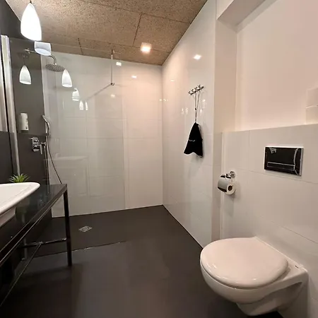 Apartament Zieleniec