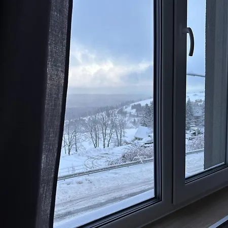 Zieleniec Apartament *