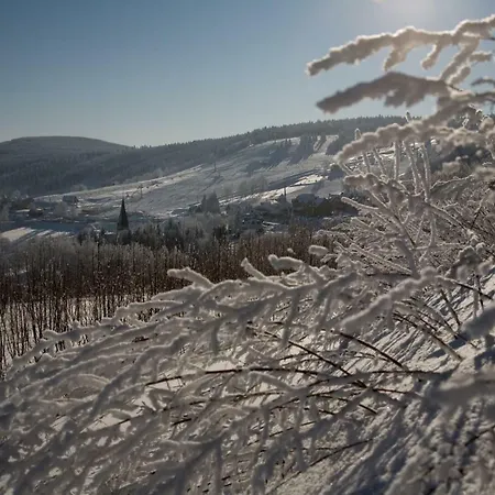 Appartement Zieleniec