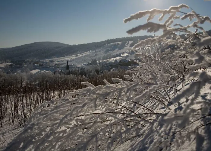 Appartement Zieleniec
